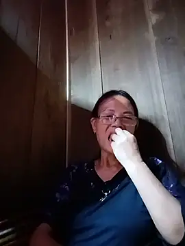 toyo_668 webcam