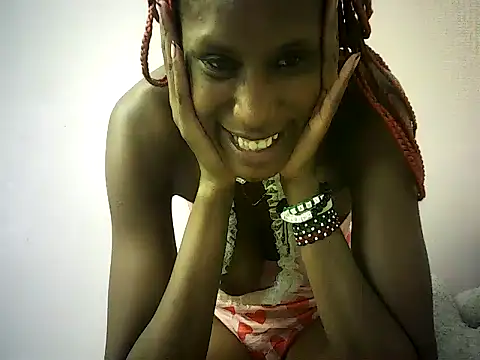 DelteAfriq webcam