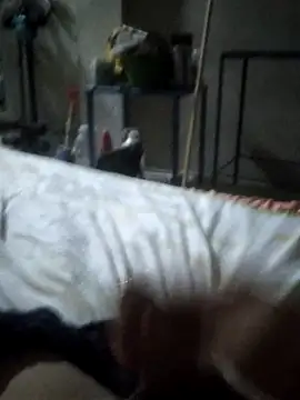 millershito25