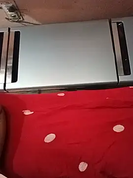 Desi_couple85 webcam