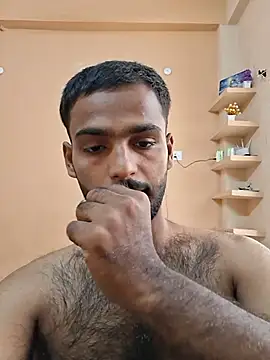 originaLUND1 webcam