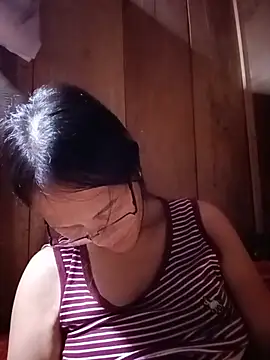 toyo_668 webcam