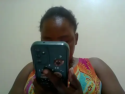 Belfrix webcam