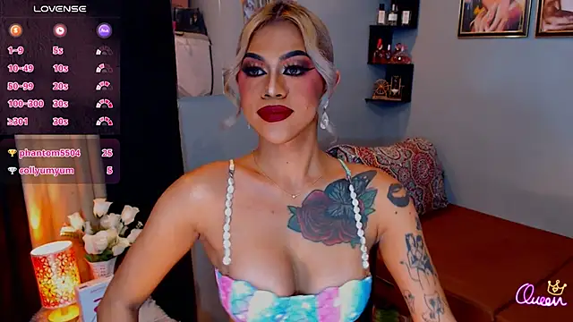 StellaStrong30 webcam