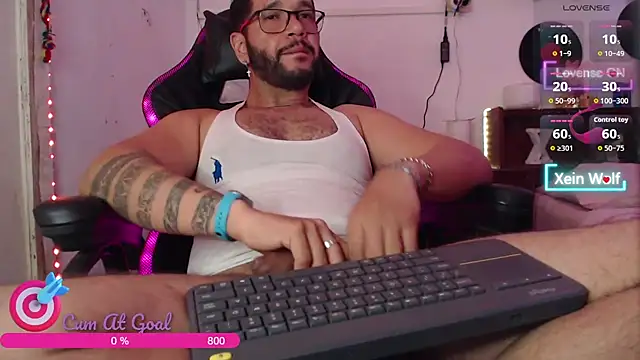 Xein_WoIf webcam