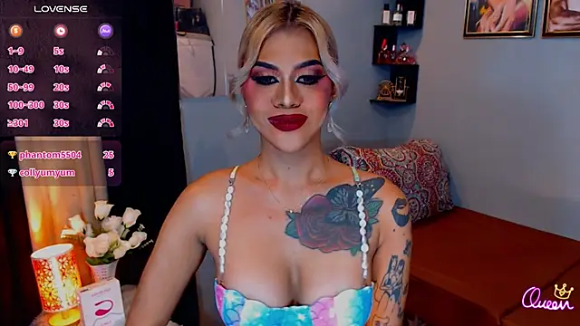 StellaStrong30 webcam