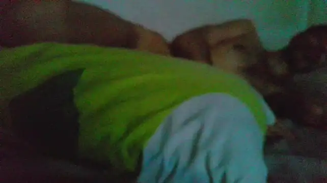 canarito18