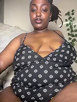 Sollybunny webcam