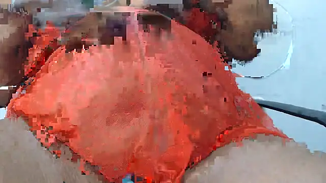 PervertPreggy webcam