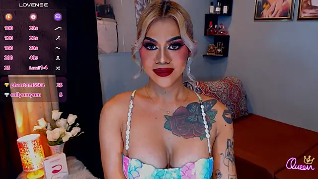 StellaStrong30 webcam