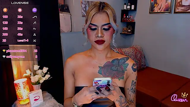 StellaStrong30 webcam