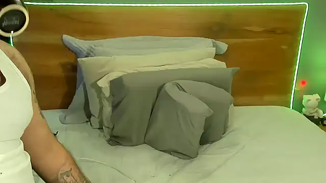 Prometeo-grizzly webcam