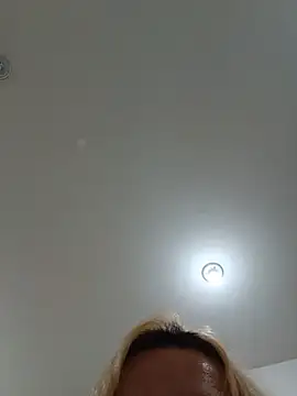 Laurinhasafad