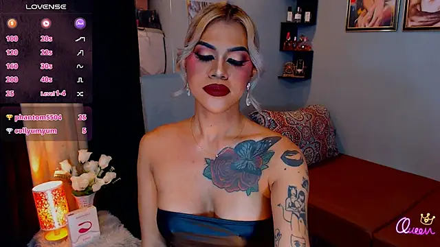 StellaStrong30 webcam