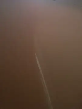 111wild111 webcam