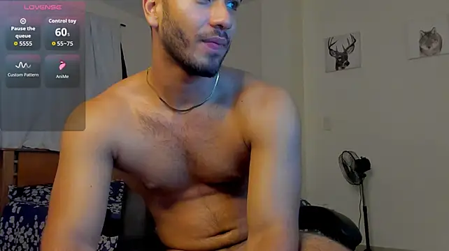 Franco_banderas webcam