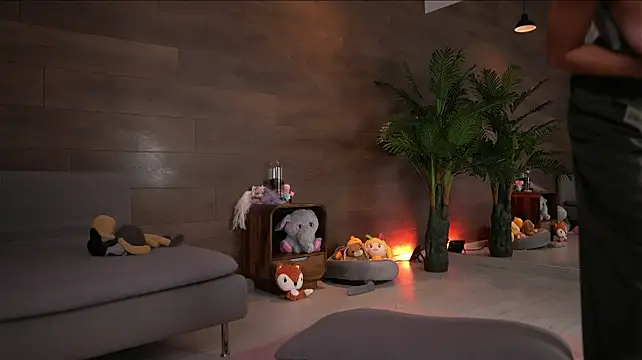 ValexieLux webcam