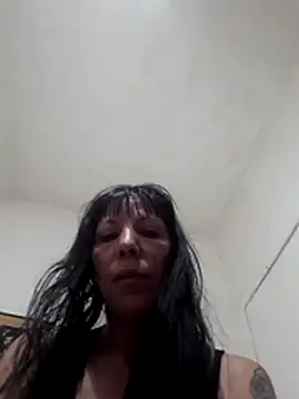 vio86 webcam