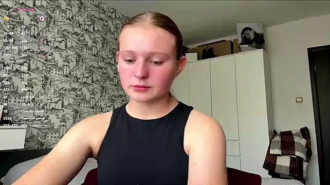 LisFris webcam