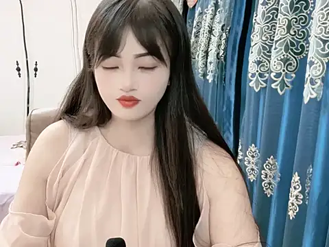 sjsibi webcam