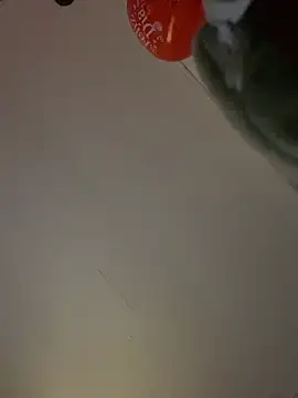 Zoe_Martinezzz webcam