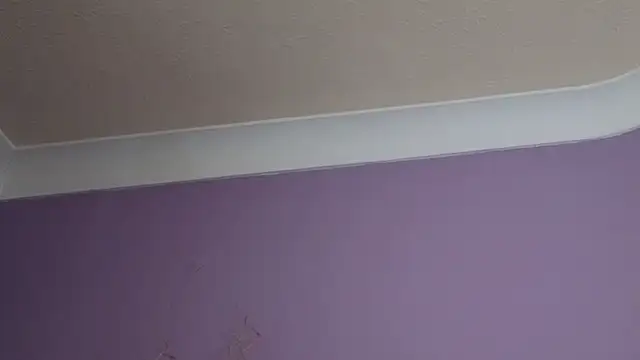 SereneXX webcam