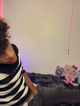Evans_Femb webcam