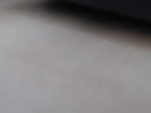 steelwings1976 webcam
