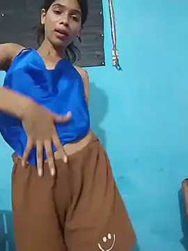HIE-JANVI webcam