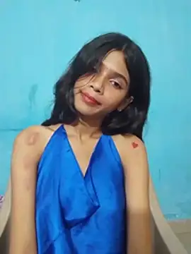 HIE-JANVI live cam preview