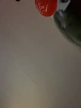 Zoe_Martinezzz webcam