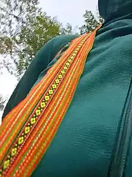 Bella-Camel webcam