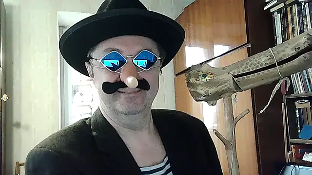 Pokaz2020 webcam