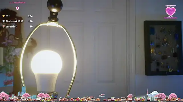 1jewel webcam