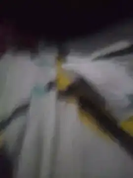 spicycouplex