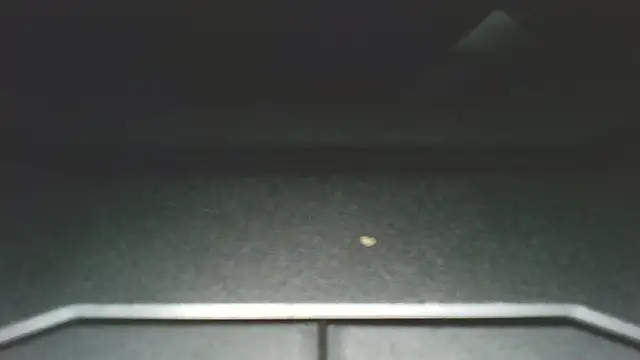 Youcunn webcam