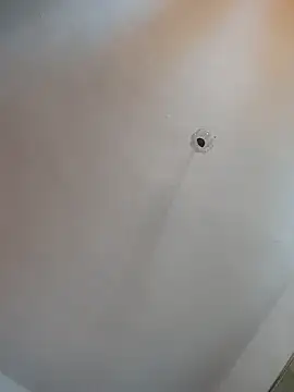 Lauren_Amabel