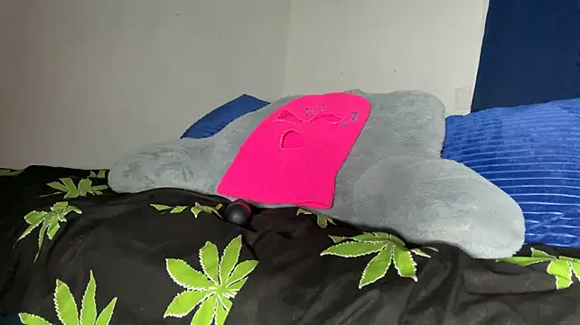 Nubian33g webcam