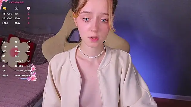 stelamontis webcam