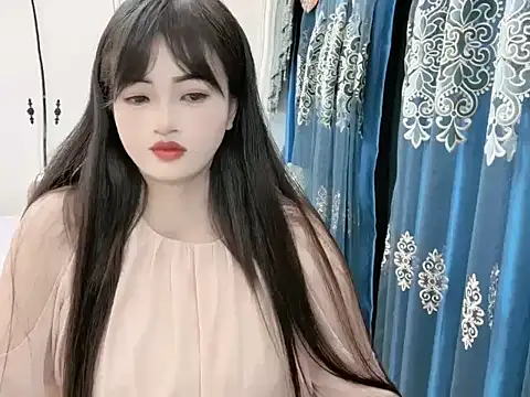 sjsibi webcam