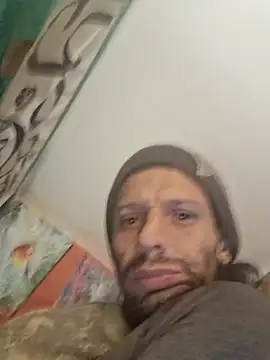 Toycockhot webcam