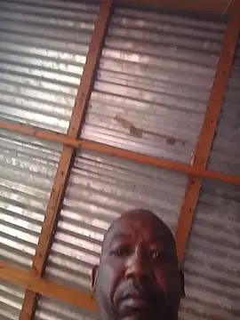 WiseDi webcam