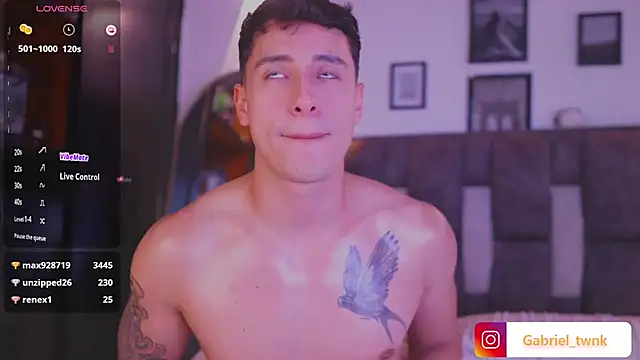 I_Gabriel webcam