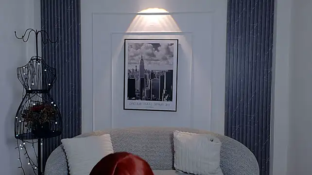 auravg webcam