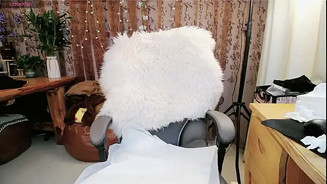 amysasa