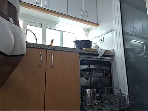 LEIRIS_Y_FRED_01 webcam