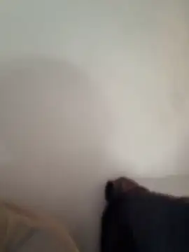 IceMur live cam