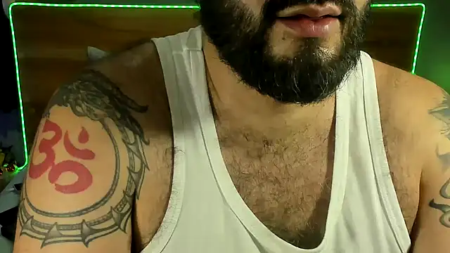 Prometeo-grizzly webcam