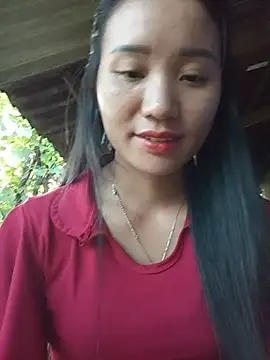 Td3di