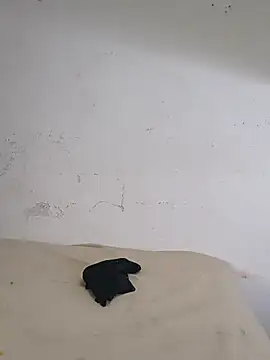 KumarSilencesex21 webcam